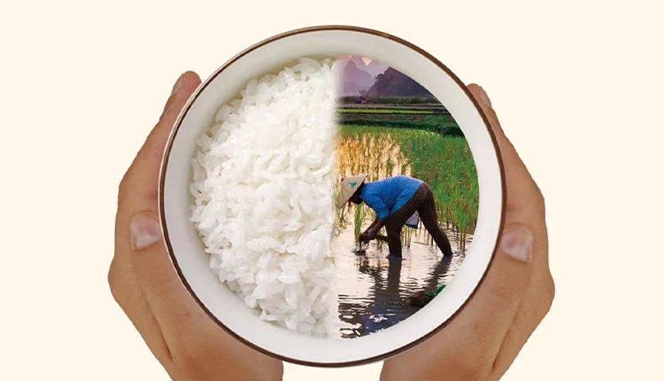 反對食品浪費，崇尚節(jié)儉美德